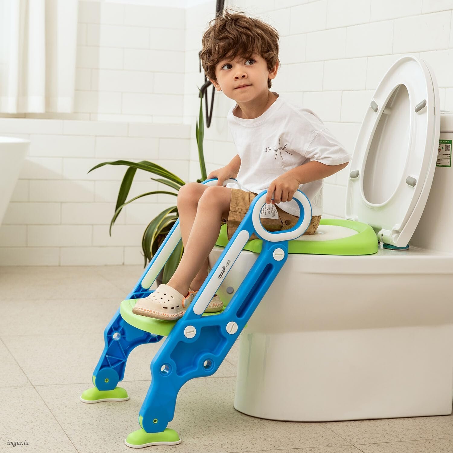 Potty Seat With Steps