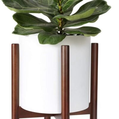 Modern Plant Stand