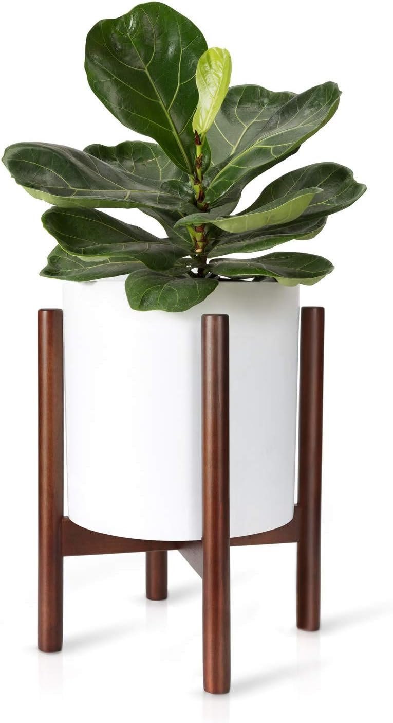 Modern Plant Stand