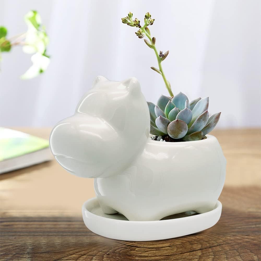 Unique Plant Pots Indoor