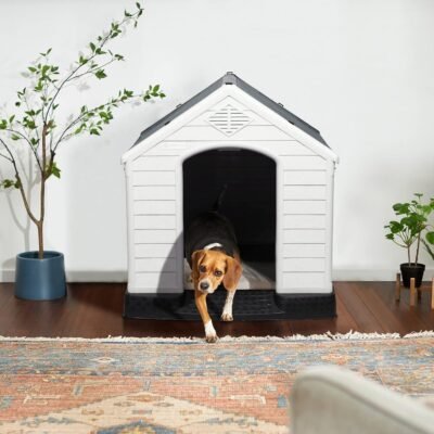 Best Dog House