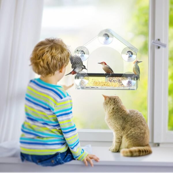 Window Bird House