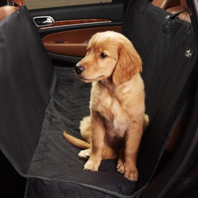 Dog Car Seat
