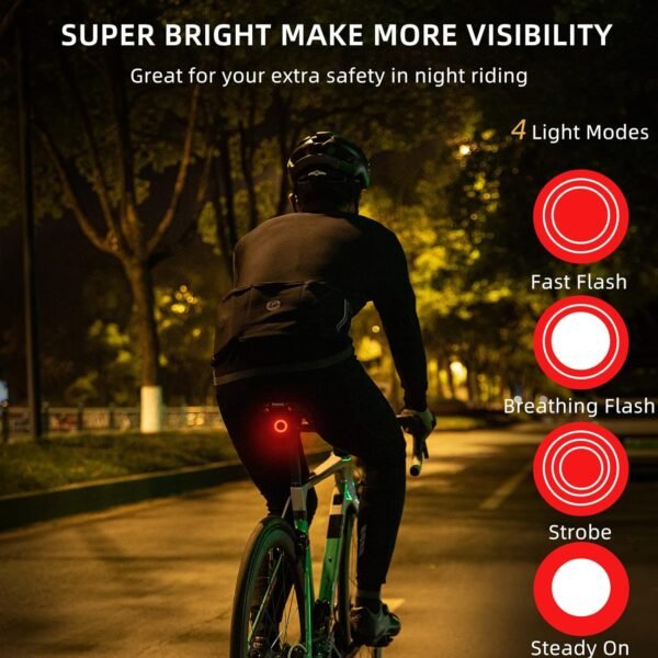 Bike Tail Light